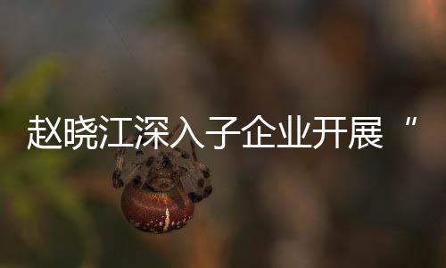 效考题调规划一研企业企一赵晓战略入子核专江深及绩策发展开展